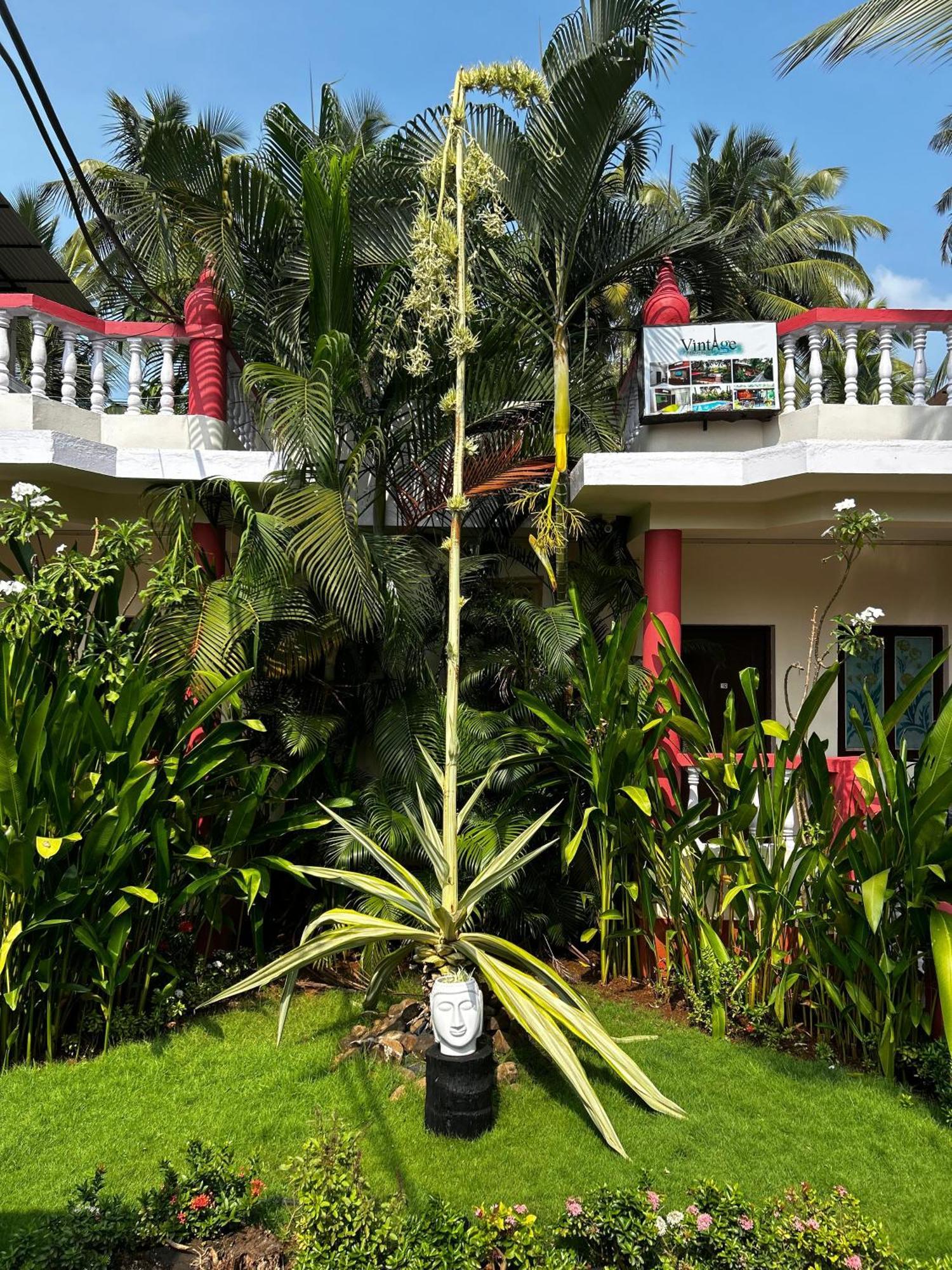 Vintage Beach Resort Agonda Exterior photo